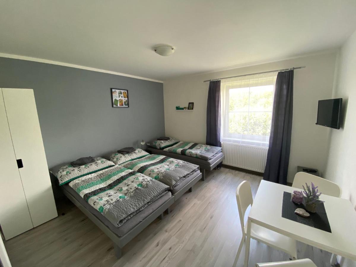 Penzion Kamejk Kamyk nad Vltavou Ngoại thất bức ảnh